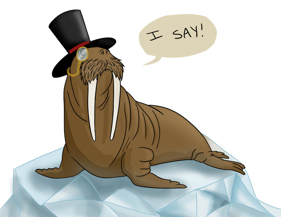 a dapper walrus.jpg
