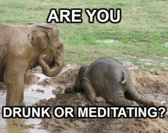 drunk or meditating.jpg