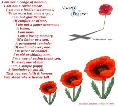 Remembrance Day Poppies.JPG