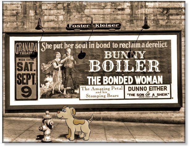 The bonded woman.jpg