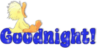 ducknight2.gif
