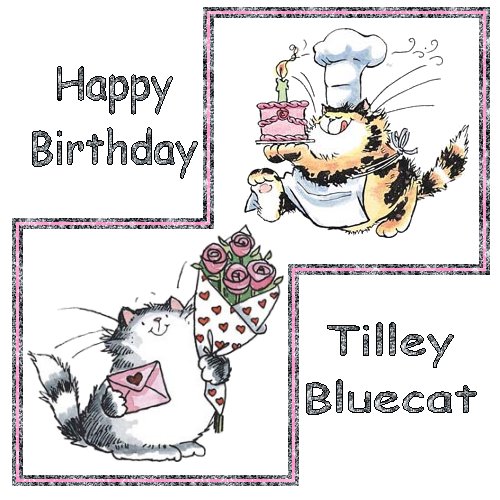 28 - tilleybluecat - October08.jpg