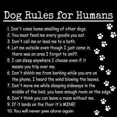 pooch rules.jpg