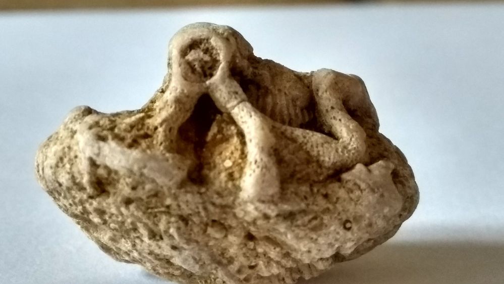 IMG_20180425_184603599_HDR.jpg IMG_20180425_184603599_HDR.jpg