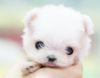 !cid_C3F18E3FDD5C462F9ADCB7E3C737BB3D@home1d2ca7bcd5.jpg