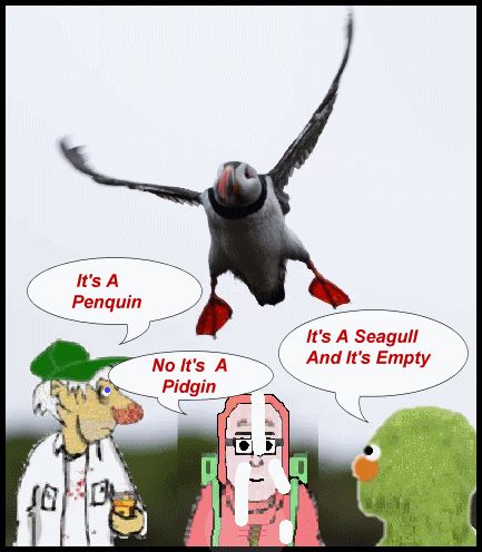 empty bird.gif