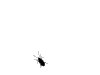 ant.gif