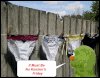 fence.gif