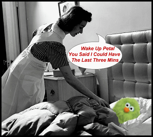 wake up.gif