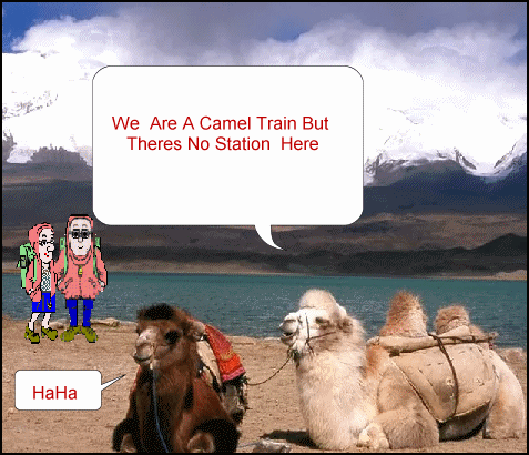 camel train.gif