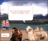 camel train.gif