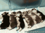 lMm4Z.gif