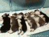 lMm4Z.gif