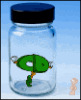 bottled cd.gif