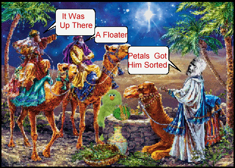 1 wise man.gif