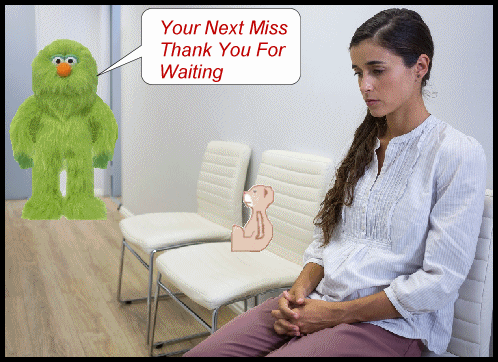 your next.gif