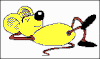 yellow.gif