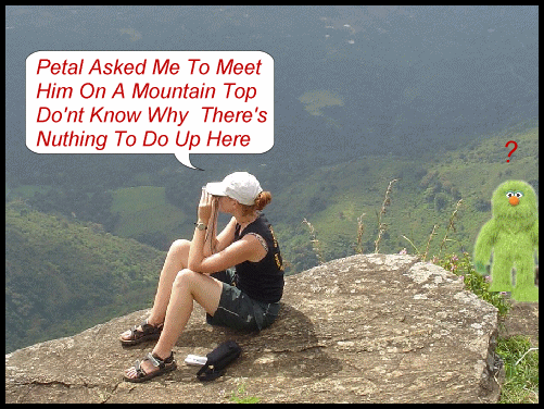 mountain.gif