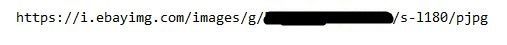 url1.JPG