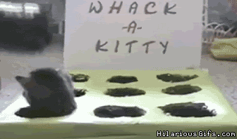 dvacS.gif
