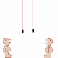 ropetrick.gif