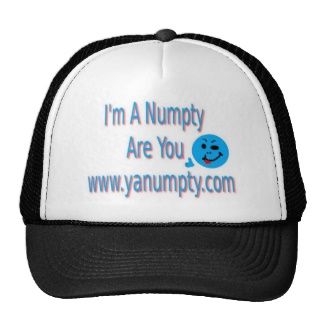 numpty hat.jpg