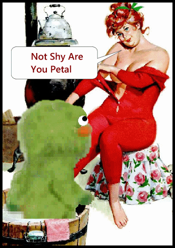 shy.gif