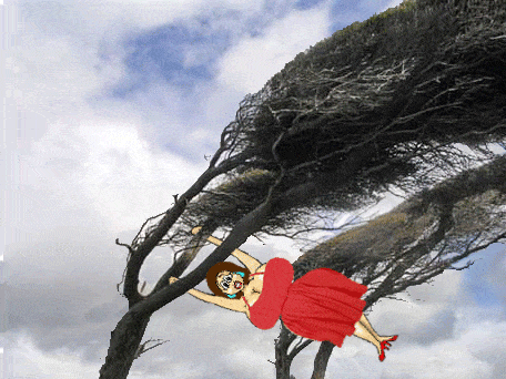 Windy.gif
