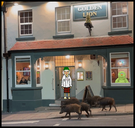 boar pub.gif