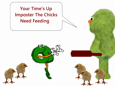 feeding chicks.gif