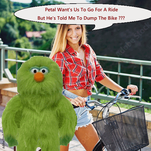 the ride.gif