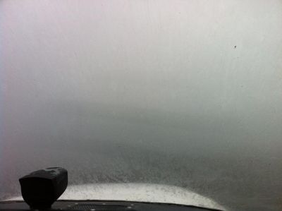 poor visibility!.jpg