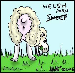 welsh_sheep.jpg