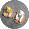 6p.gif