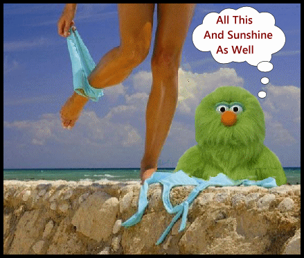 sunshine 3.gif