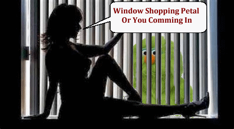windowshopping.gif