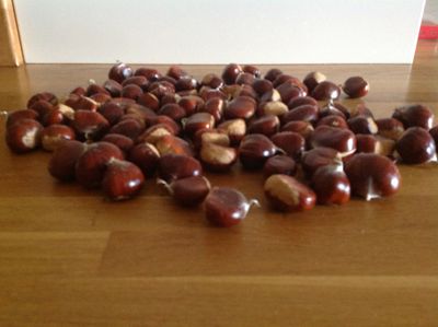 chestnuts.JPG
