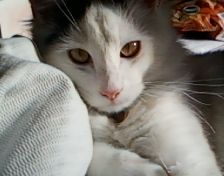 helper.jpg