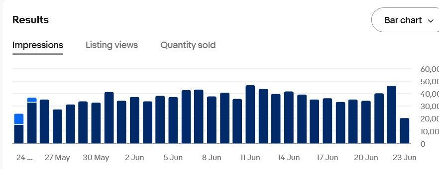 Screenshot 2025-06-24 at 16-47-03 Performance & Traffic – eBay Seller Hub.jpg