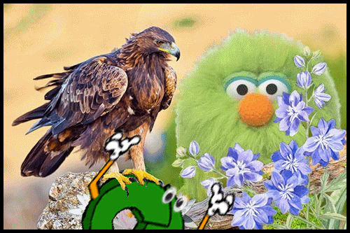 Bird.gif