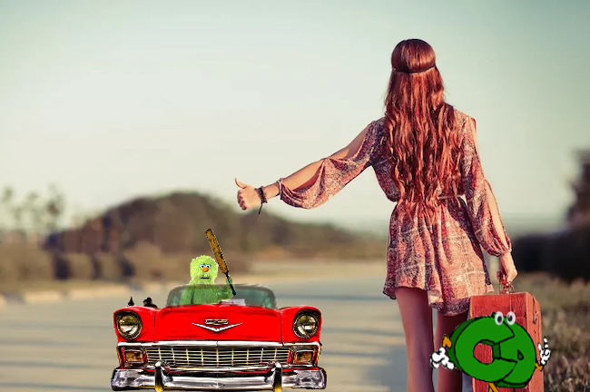 Hitchin'.png