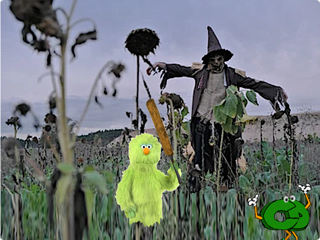 Field.png