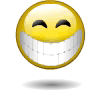 bouncy smiley.gif