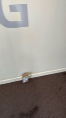 IMG_8143.jpeg