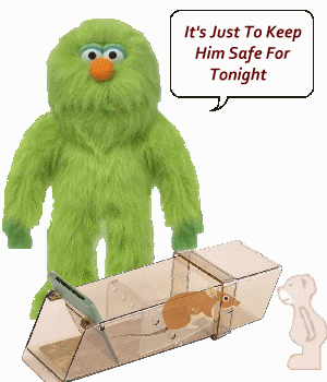 safe Mouse.gif