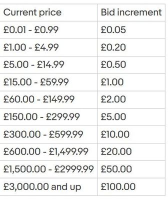 bid increment.jpg