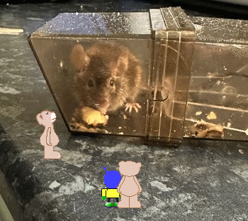 nibbling.gif