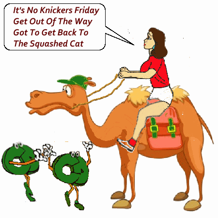 friday camel rideing.gif