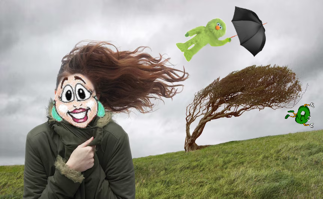 Windy.png