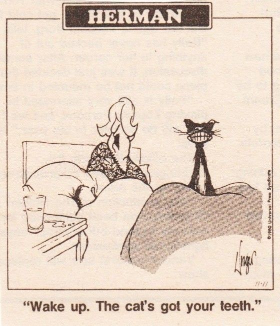 Hope I didn't wake you.jpg